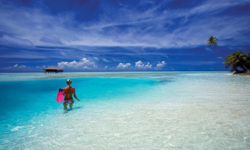 Lagoon Suite